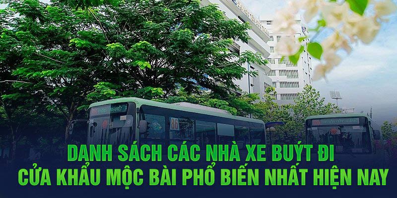 Danh sách các nhà xe buýt đi cửa khẩu Mộc Bài phổ biến nhất hiện nay
